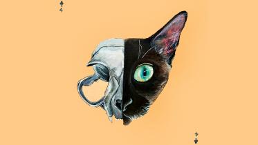 animal 1.jpg
