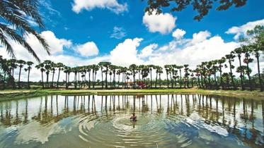 Art and science project on Rampal