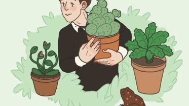 (Bad) Harry Potter Spin-offs