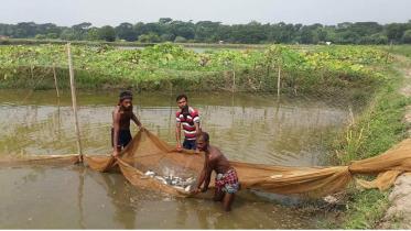 Bagerhat 01 -----(2).jpg