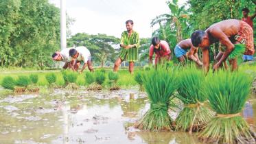 BB pity on farmers.jpg