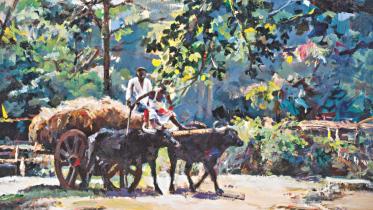 beauty of bangladesh