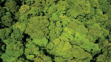 better climate action.jpg