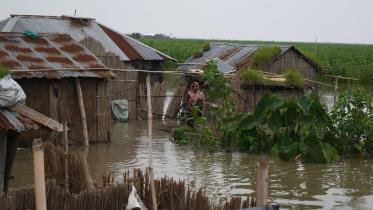 Bogura flood.jpg