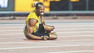 bolt.jpg