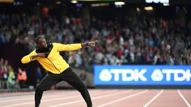 Bolt.jpg