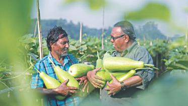 Bottle gourds