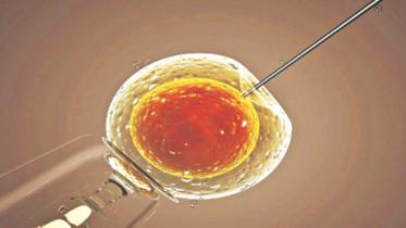 Britain's fertility regulator.jpg