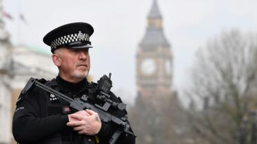 British Parliament new.jpg