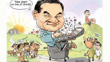 budge-cartoon.jpg