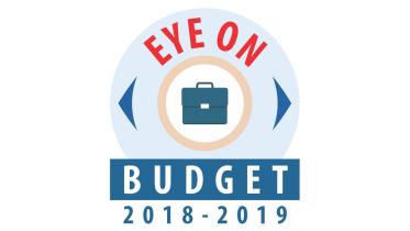 budget 2018-19.jpg