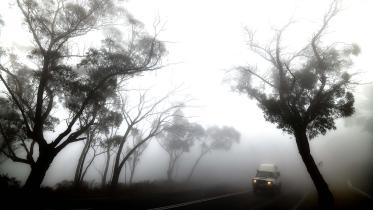 Bushfire.jpg