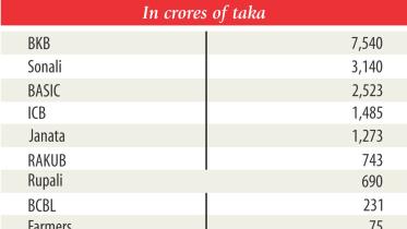 Capital shortfall.jpg
