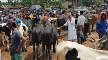 cattle-market.jpg