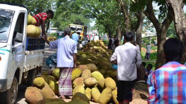 centuries-old Jackfruit market.jpg