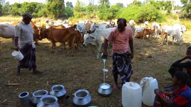 Chapainawabganj photo- 1.jpg