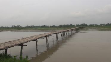 Char-people-Khuniyagachh-Lalmonirhat-build-bamboo-bridge.jpg
