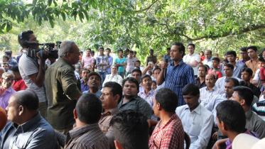 chemicals on mangoes.jpg