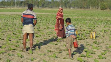 children at tobacco farms.jpg