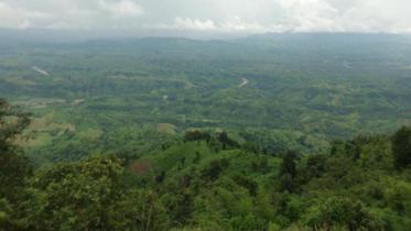 CHT Land Dispute.jpg