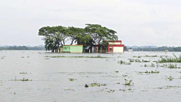 Climate change