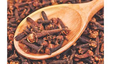 clove.jpg
