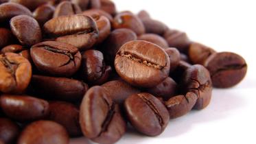 coffee-bean