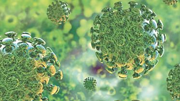 corona virus.jpg