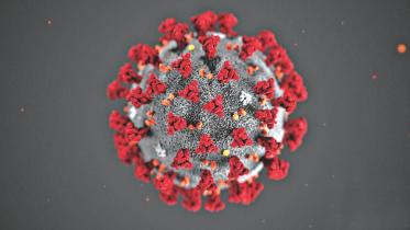 corona_virus.jpg