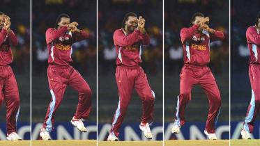 cricket-fun.jpg