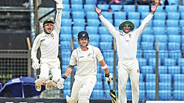 cricket-play.jpg