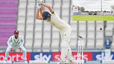 Cricket-returns.jpg