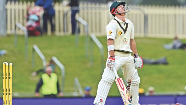 david warner out.jpg