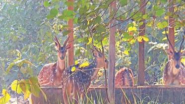 deer breeding centre.jpg