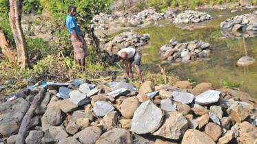 Deliberate destruction of the environment