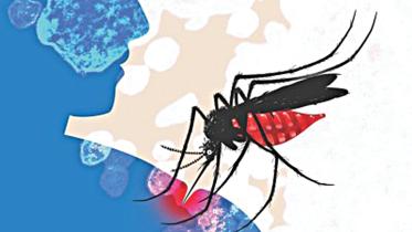 Dengue mosquito.jpg
