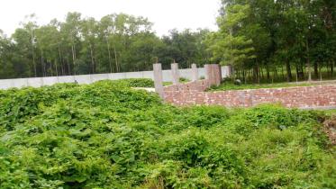 Dhalapara forest.jpg