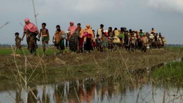 Displaced Rohingya refugees.jpg