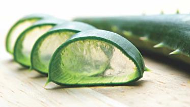 Do you Aloe Vera much