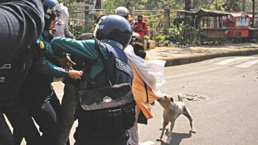 dog saving woman.jpg