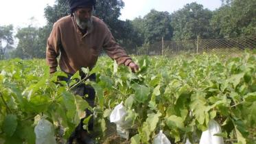 Eco-friendly bags.jpg