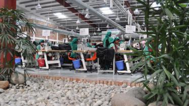 Eco-friendly RMG.jpg