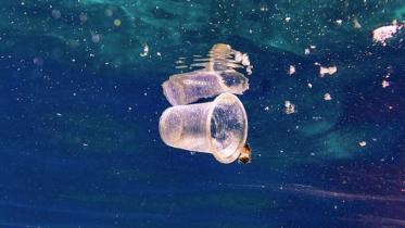 plastic products in coastal areas