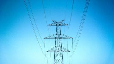 Editorial 2 Freepik.jpg