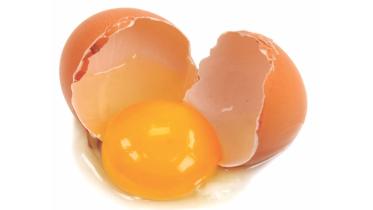 egg.jpg