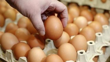 eggs-kids.jpg