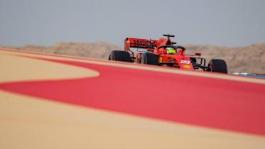 F1.jpg