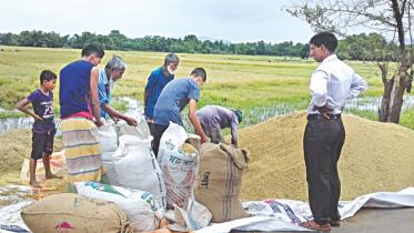 fair price for farmer.jpg