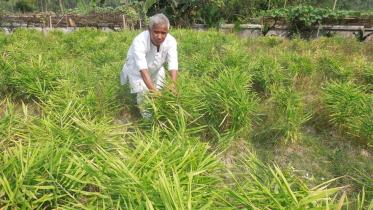 Farmer Sukumar Roy.jpg