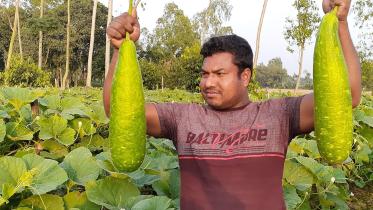 Farming with compost.jpg